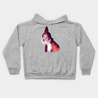 Valhalla Cat Kids Hoodie